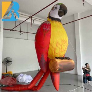 parrot-3